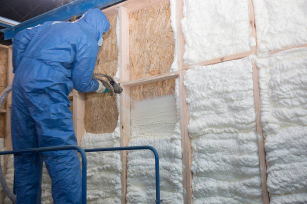 Best Blown-In Insulation in Gardena, CA